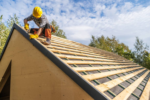 Best Storm Damage Roof Repair  in Schleswig, IA