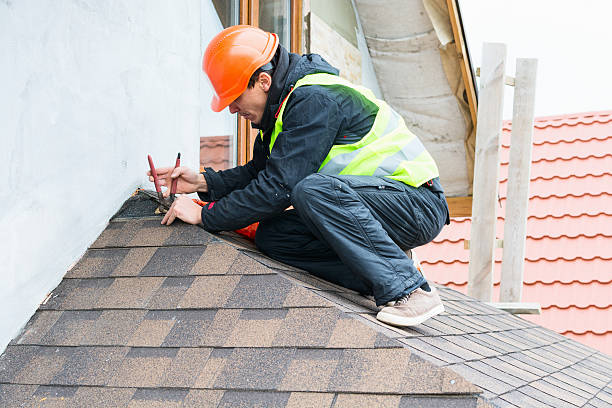 Best Residential Roof Replacement  in Schleswig, IA